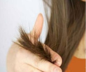 طب سنتی به سراغ موخوره می آید